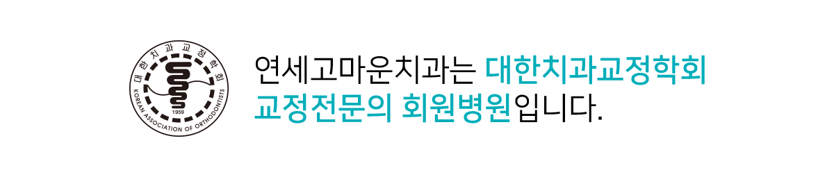 사랑의 열매